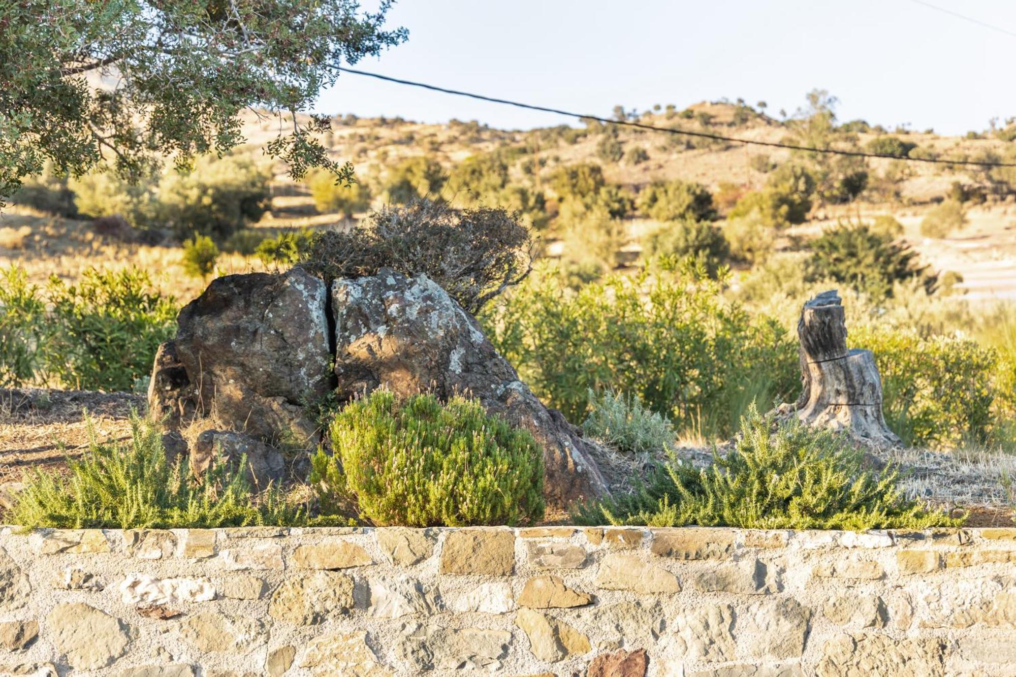 Evgoro Luxury Suites Agia Galini Exterior foto