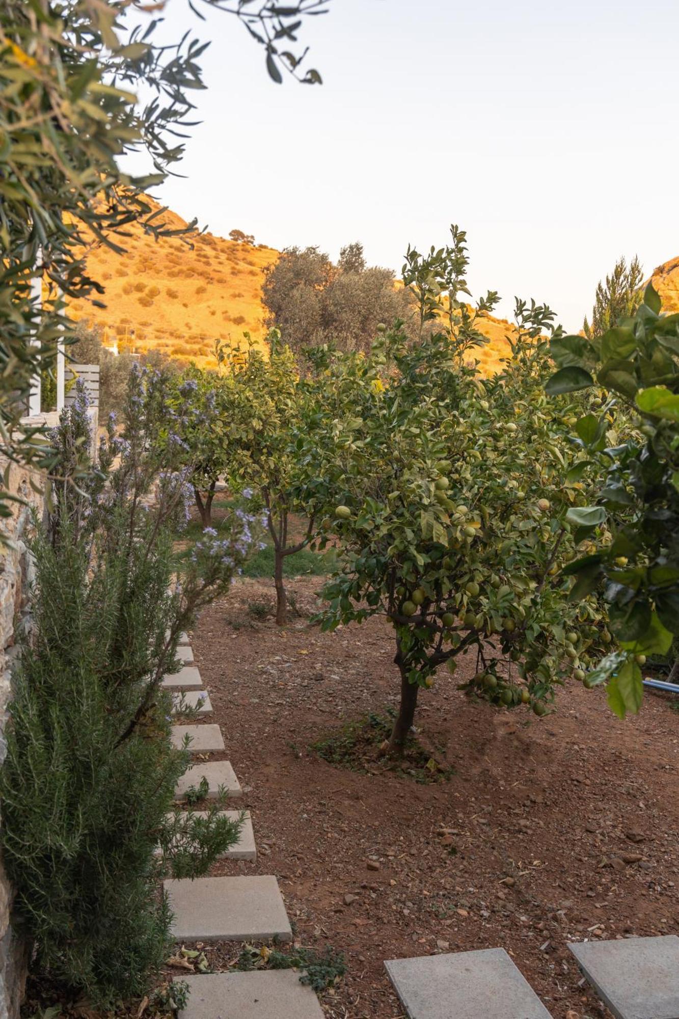 Evgoro Luxury Suites Agia Galini Exterior foto