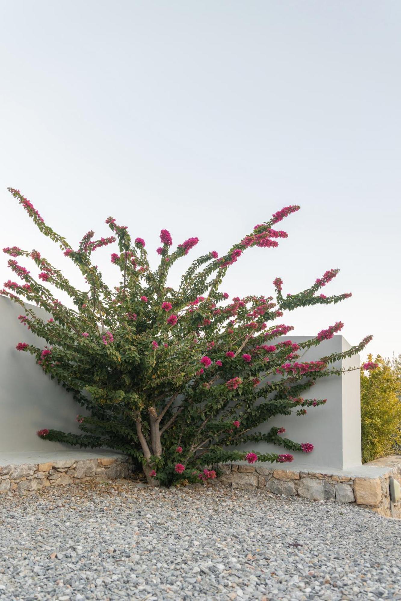 Evgoro Luxury Suites Agia Galini Exterior foto